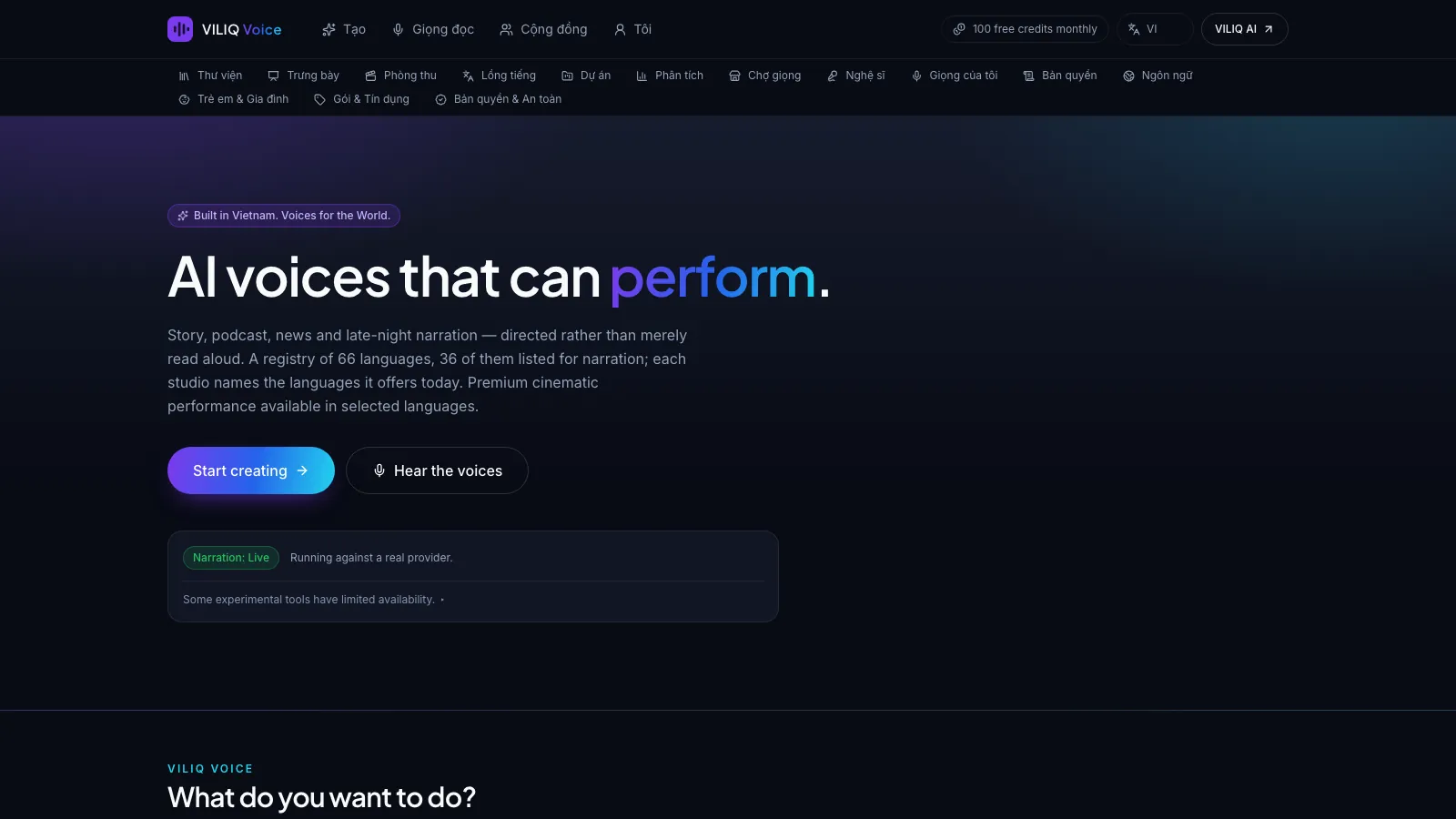 Website preview: the VILIQ Voice homepage